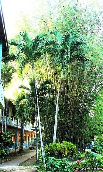 Pure Garden Resort Negril Hotel